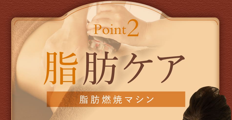 Point2 脂肪ケア 脂肪燃焼マシン
